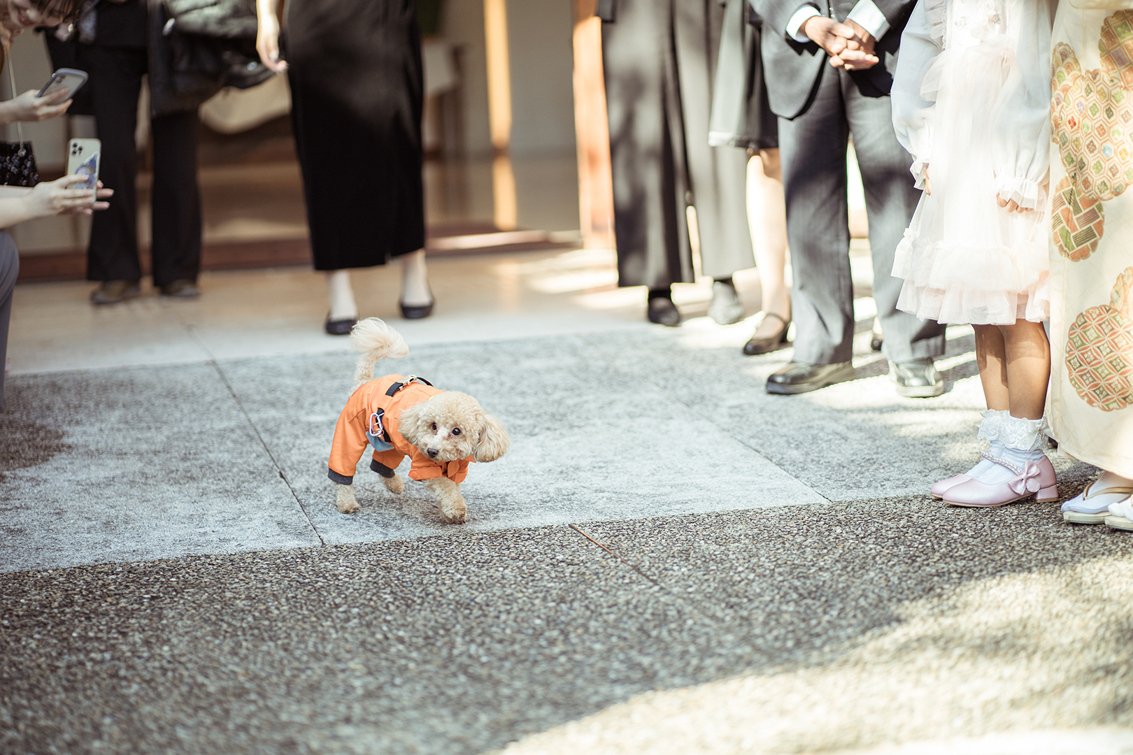 1122金崎様-122small