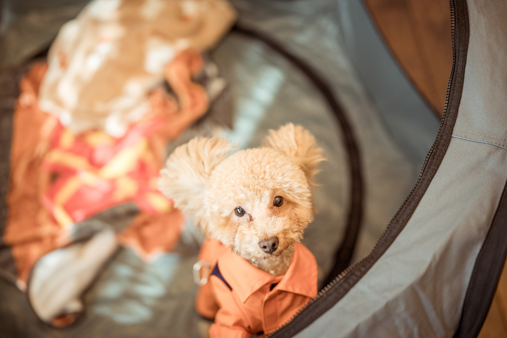 1122金崎様-24small